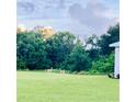 Scenic backyard view with deer grazing in the expansive green space with mature trees at 17605 Roanwood Ct, Parrish, FL 34219