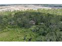Aerial view of a secluded home nestled within mature trees and greenery at 9625 Erie Rd, Parrish, FL 34219