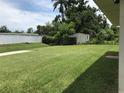 Expansive backyard featuring lush green grass and a storage shed for outdoor equipment at 48 Dade Ave, Sarasota, FL 34232