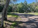 Gravel driveway leading to the property, bordered by trees and a white fence at 35236 Reynolds St, Dade City, FL 33523