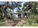 The home's rear exterior has new windows and mature trees at 129 Pierson Ln, Sarasota, FL 34242