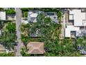 Aerial view featuring a house with a swimming pool nestled between lush greenery and neighboring residences at 1677 Hyde Park St, Sarasota, FL 34239