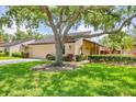 Charming single-story home with lush landscaping, mature trees, and a well-manicured lawn at 3914 Glen Oaks Manor Dr, Sarasota, FL 34232