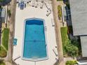 Aerial view of a community pool with lounge chairs and landscaped surroundings at 2503 Beneva Rd # 7, Sarasota, FL 34232