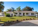 Charming single-story home featuring a well-maintained lawn, mature palm trees, and a welcoming facade at 31 Twig Ct, Port Charlotte, FL 33954