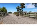 Gated driveway entrance with sandhill cranes on the property at 7160 Myakka Valley Trl, Sarasota, FL 34241