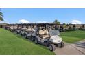 Row of parked golf carts on a paver path with a lush green lawn at 5624 Palmer Cir # 206, Bradenton, FL 34211