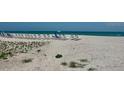 A serene beach with rows of lounge chairs for residents at 1100 Benjamin Franklin Dr # 802, Sarasota, FL 34236