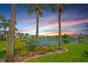 Scenic pond view surrounded by lush landscaping and palm trees, offering a tranquil setting at 4727 Sabal Key Dr # 4727, Bradenton, FL 34203