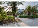 Home exterior featuring a well-maintained brick driveway, lush landscaping, and mature palm trees at 3446 Anglin Dr, Sarasota, FL 34242