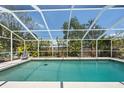 Sparkling screened-in pool with clear blue water and plenty of space for lounging and recreation at 139 Adair Ave, Sarasota, FL 34243