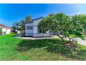 Beautifully landscaped front yard of a home with lush green grass at 5508 83Rd E Ter, Sarasota, FL 34243