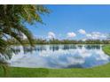 Beautiful lake view with clear sky reflecting on the water, framed by green grass at 12031 Longview Lake Cir, Lakewood Ranch, FL 34211