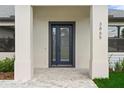 Close up of front door with a modern design at 3865 Everglades Ter, North Port, FL 34286