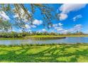 Scenic pond view with lush green surroundings, under a bright blue sky with scattered clouds at 3881 Chatsworth Greene Ct # 20, Sarasota, FL 34235