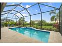 Inviting pool with clear blue water surrounded by a screened enclosure and lush landscaping at 4720 Arpino Ct, Bradenton, FL 34211