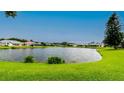 Tranquil view of a pond surrounded by lush green grass and neighboring homes at 5897 Carriage Dr, Sarasota, FL 34243