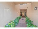 Charming courtyard walkway lined with lush greenery, leading to welcoming townhome entrances at 7325 Skybird Rd # 399, Bradenton, FL 34209