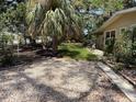 Landscaped front yard featuring a mature palm tree and rock-covered garden beds at 2311 W 52Nd Ave Drive, Bradenton, FL 34207