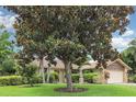 Beautiful home exterior with a lush green lawn and mature magnolia tree at 7401 3Rd Nw Ave, Bradenton, FL 34209