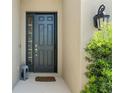 A welcoming front door entrance with modern black hardware, lantern and lush greenery at 15316 Shady Palms Ln, Nokomis, FL 34275
