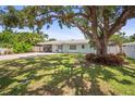 Beautiful single-story home with a mature shade tree in the front lawn at 2275 Clematis St, Sarasota, FL 34239