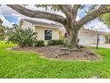 View of home with a mature tree in the front yard at 4131 Oakhurst W Cir # 3133, Sarasota, FL 34233