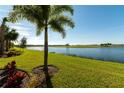 Picturesque backyard with lush green grass, tranquil lake, and swaying palm trees on a sunny day at 5604 Palmer Cir # 103, Bradenton, FL 34211