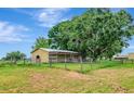 View of a small barn with a fenced in area under a large shady tree at 26147 L And J Rd, Myakka City, FL 34251