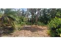 View of backyard featuring lush trees and vegetation showing the landscape and private wooded surroundings at 120 Sw Monroe N Cir, St Petersburg, FL 33703