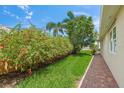 Lush landscaping featuring vibrant hibiscus bushes lining a brick pathway in the yard at 13391 Dimarco St, Venice, FL 34293