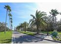 Scenic street view lined with mature palm trees and well-maintained landscaping in a desirable community at 3636 Torrey Pines Blvd, Sarasota, FL 34238