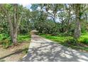Long driveway leading to a charming home surrounded by mature trees and lush landscaping at 3217 Oak Grove Dr, Sarasota, FL 34243