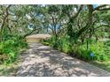 Charming home with long driveway and lush trees along the side at 3217 Oak Grove Dr, Sarasota, FL 34243
