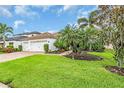 Beautifully landscaped front yard showcasing a well-maintained lawn and mature palm trees at 616 Dogwood Run, Bradenton, FL 34212