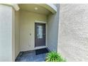 Inviting front entrance featuring a modern door with glass, complemented by stylish stone pavers and verdant greenery at 15225 Lyla Ter, Bradenton, FL 34211