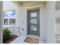 Modern front door with glass panes, decorative stone accents, and a welcoming door mat at 17209 Barnwood Pl, Bradenton, FL 34211