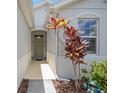 Covered entryway with decorative plants and a frog sculpture at 13804 Woodbridge Ter, Lakewood Ranch, FL 34211