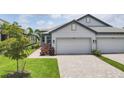 Light gray home featuring a two-car garage, paved walkway and colorful landscaping, set on a green lawn at 17823 Cherished Loop, Bradenton, FL 34211