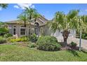 A well-maintained front yard features lush landscaping and palm trees enhancing curb appeal of home at 4330 Beekman Pl # 103, Sarasota, FL 34235