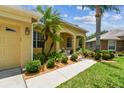 Exterior home detail showcasing landscaped walkway with lush greenery and columns at 11009 Wildcat Dr, Riverview, FL 33579