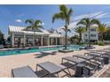Resort-style pool with lounge chairs and palm trees, creating a relaxing oasis at 2400 Ezzell Ct, Sarasota, FL 34237