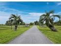 Long paved driveway leading up to a charming white home, framed by mature palm trees and a wooden fence at 3100 Lena Ln, Sarasota, FL 34240