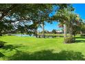 Expansive backyard with lush green grass and mature trees, offering a private and serene outdoor space at 11221 Sandhill Preserve Dr, Sarasota, FL 34238