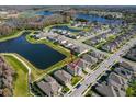 Wide aerial perspective of the neighborhood showcasing the home's proximity to the lake and community amenities at 19293 Breynia Dr, Lutz, FL 33558