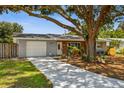 Charming single-story home featuring a long driveway and beautifully landscaped front yard with a mature shade tree at 528 Manor Dr, Dunedin, FL 34698