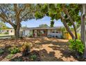 Charming single-story home with well-manicured lawn, lush landscaping, and a cozy bench under a window at 528 Manor Dr, Dunedin, FL 34698