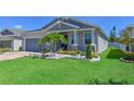 Well-maintained home boasts lush lawn, palm tree, and nicely landscaped flower beds at 3419 74Th Avenue E Cir, Sarasota, FL 34243