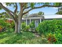 Inviting front entrance with blue trim, mature tree, and lush landscaping at 2460 Hillview St, Sarasota, FL 34239