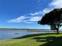 Scenic view of lake with pier and lush greenery at 9209 Seminole Blvd # 117, Seminole, FL 33772